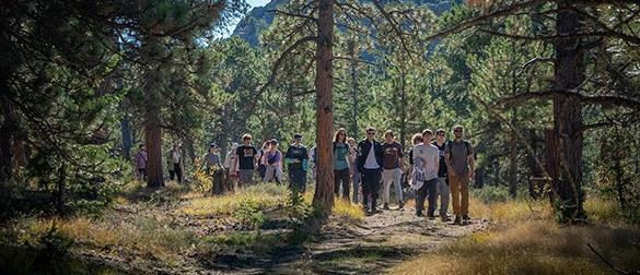 group of college students hiking through pine forest