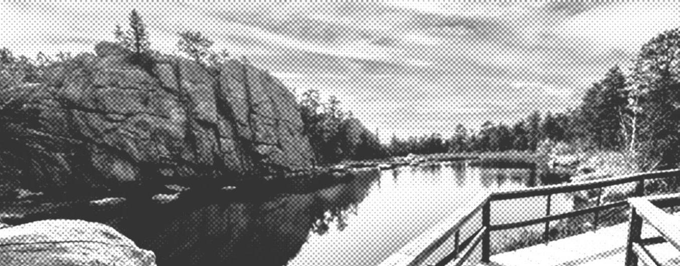 lakeside walkway B&W halftone filter