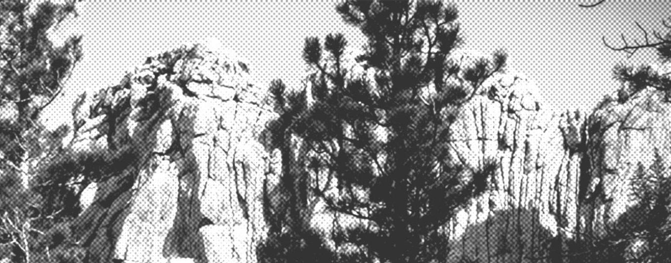 trees with mountains B&W halftone filter